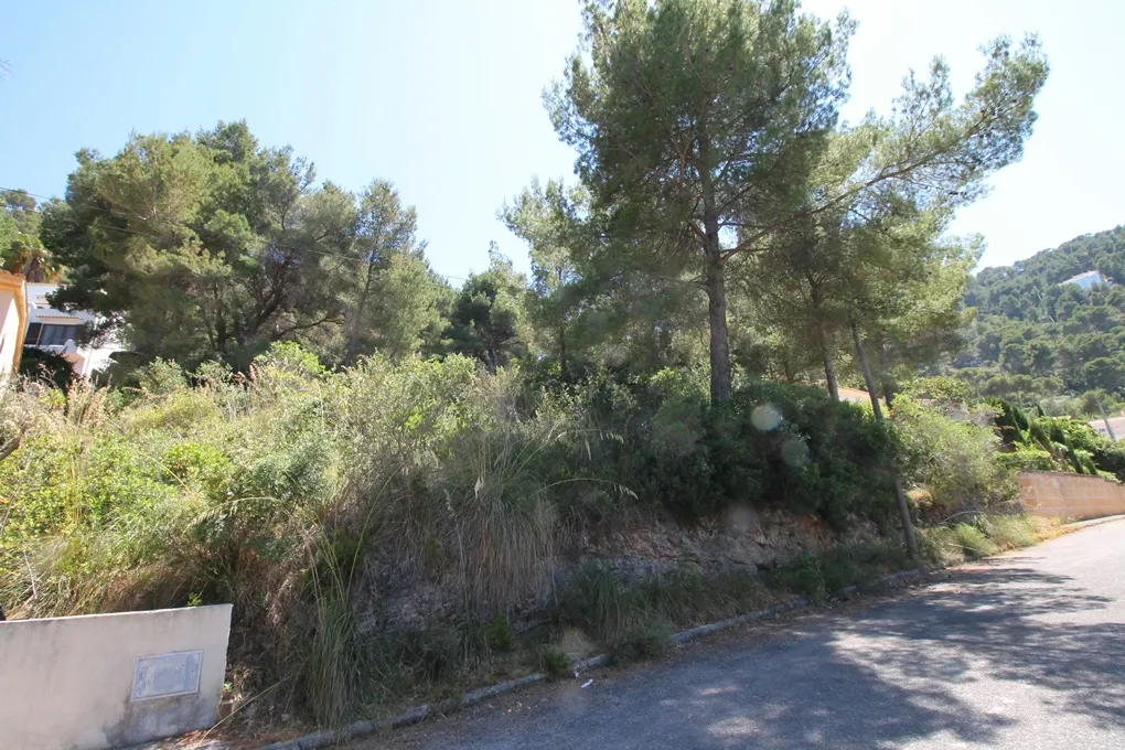 Parcela con vistas al mar-4