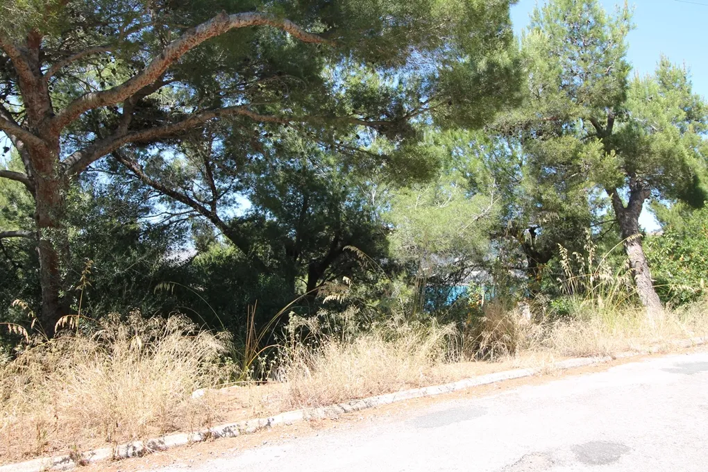 Parcela con vistas al mar-2