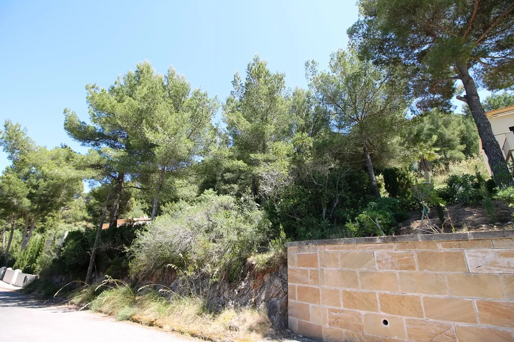 Parcela con vistas al mar-5