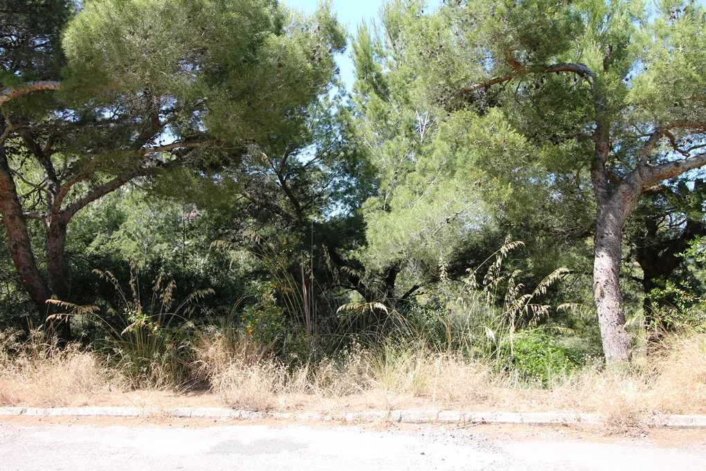 Parcela con vistas al mar-3