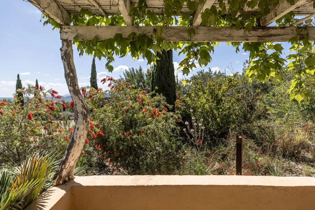 State of the art - Finca en pierre naturelle avec vignoble-23