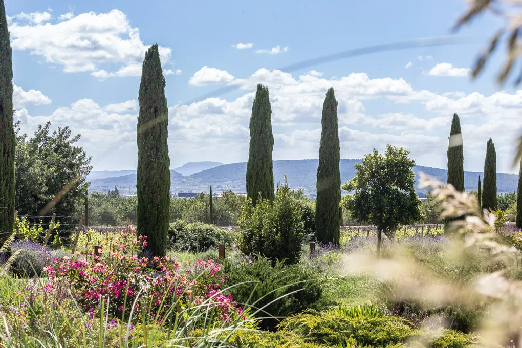 State of the art - Natural stone country house with vineyard-20