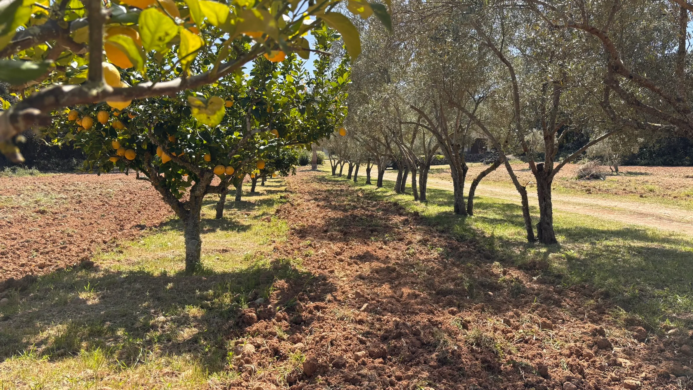 Финка с бассейном и великолепными видами-14