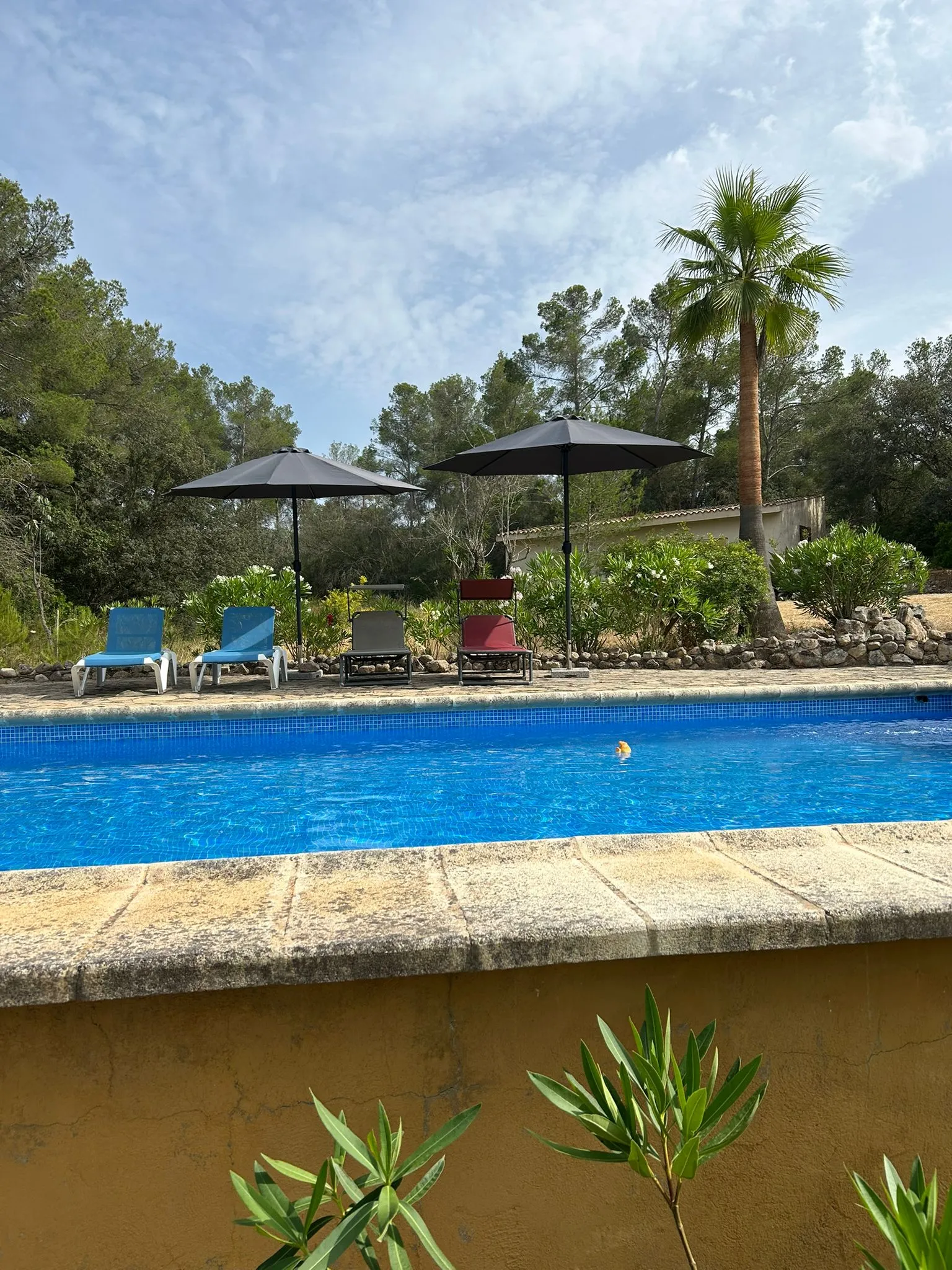 Финка с бассейном и великолепными видами-2