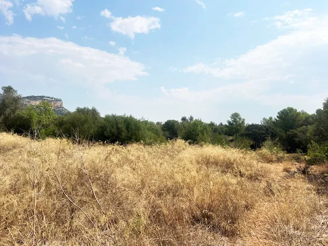 Oportunidad única: terreno edificable en una ubicación privilegiada-3