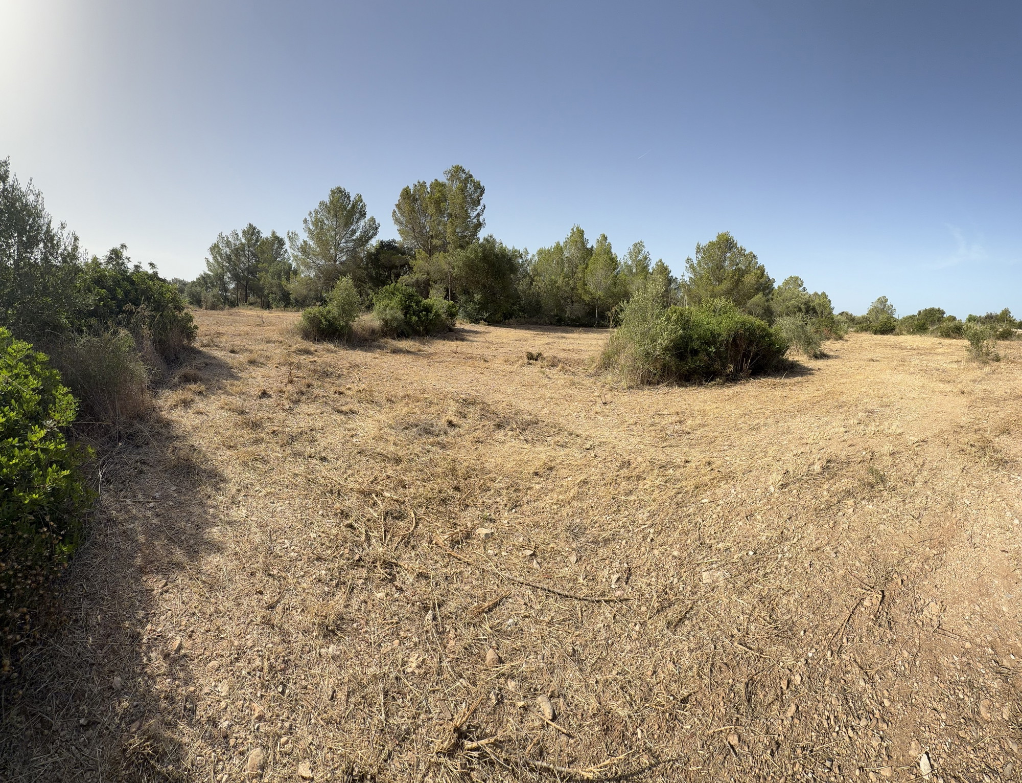 Terreno edificabile esclusivo per una finca di lusso vicino a Palma-4