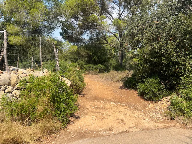 Eksklusiv byggegrund til en luksuriøs finca nær Palma-7