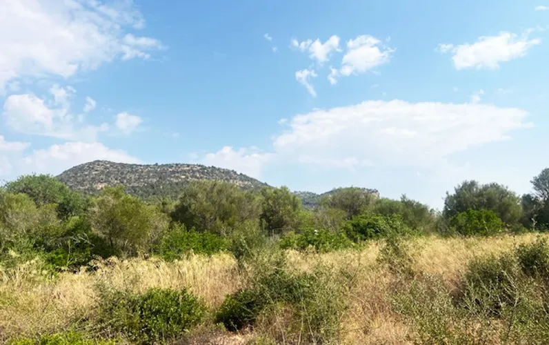 Exklusives Bauland für eine luxuriöse Finca nahe Palma