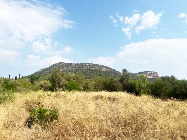 Oportunidad única: terreno edificable en una ubicación privilegiada-2