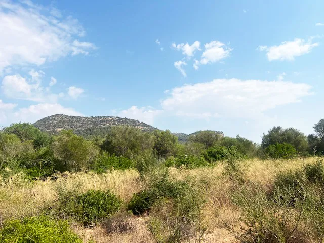 Oportunidad única: terreno edificable en una ubicación privilegiada-1