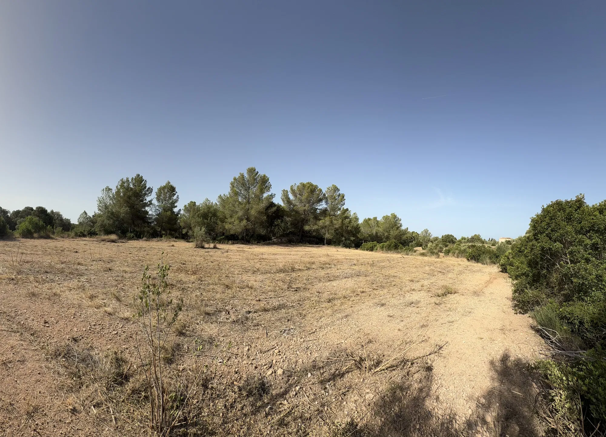 Terreno edificabile esclusivo per una finca di lusso vicino a Palma-2