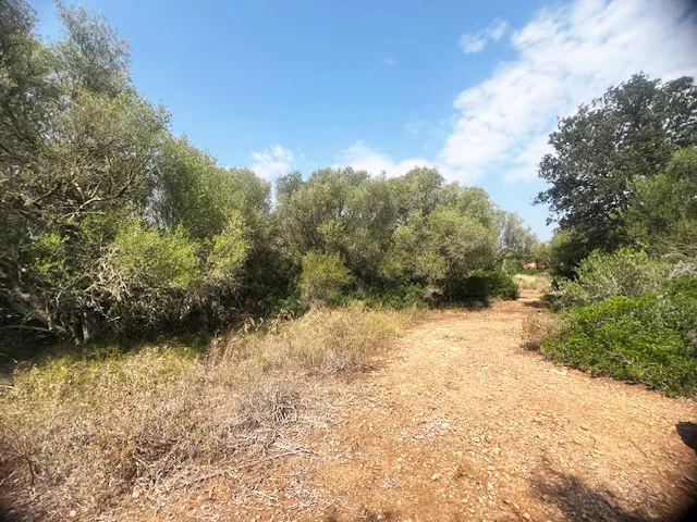 Oportunidad única: terreno edificable en una ubicación privilegiada-4