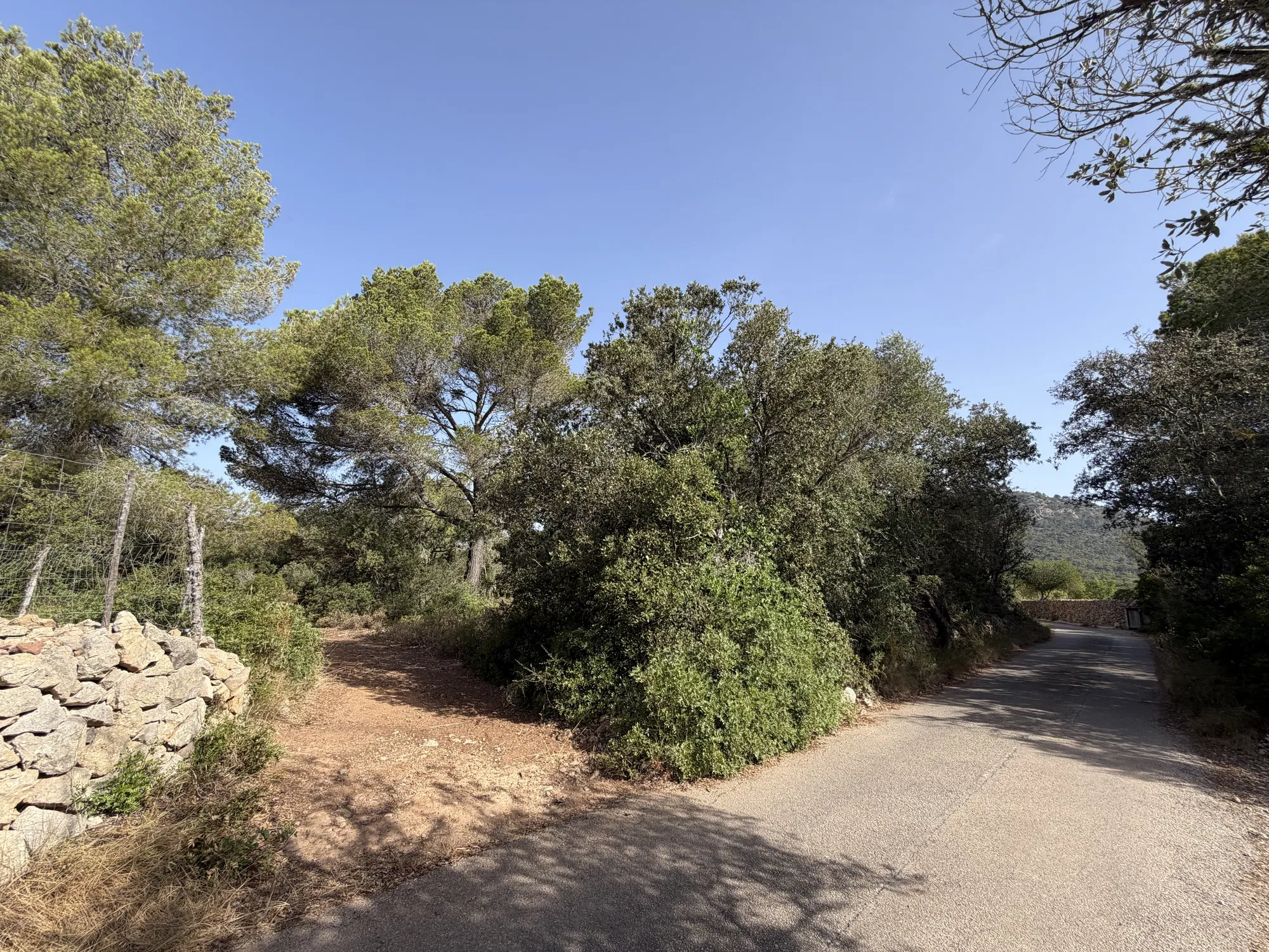 Terreno edificabile esclusivo per una finca di lusso vicino a Palma-5