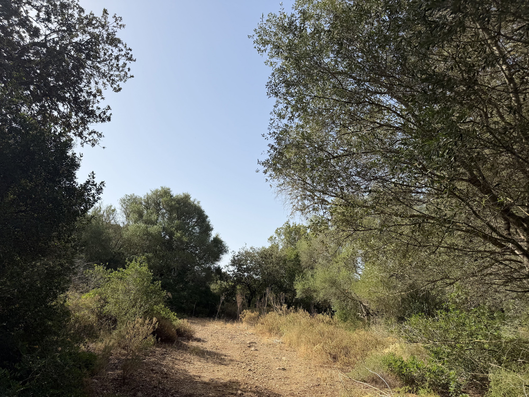 Terreno edificabile esclusivo per una finca di lusso vicino a Palma-7