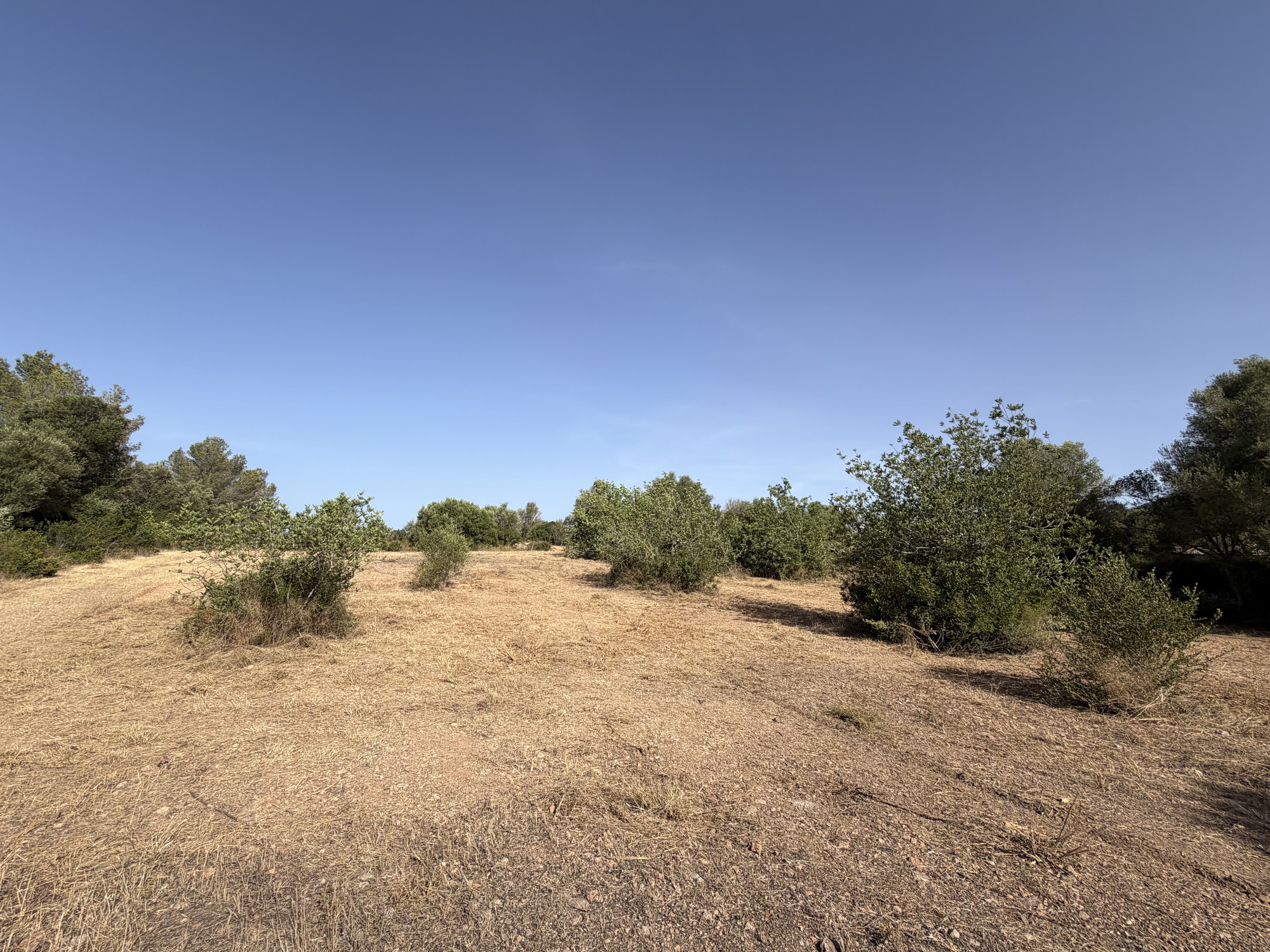 Terreno edificabile esclusivo per una finca di lusso vicino a Palma-1