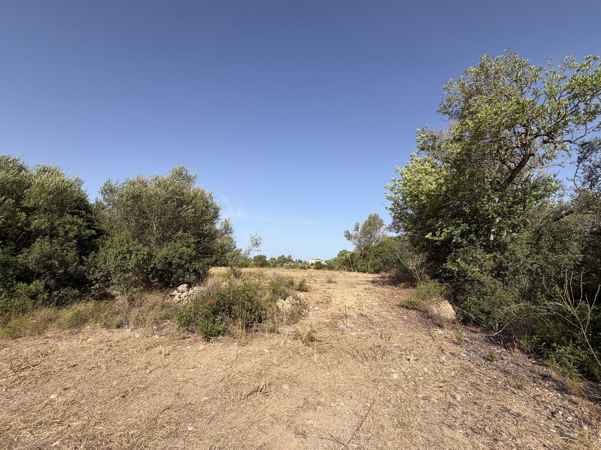 Terreno edificabile esclusivo per una finca di lusso vicino a Palma-3