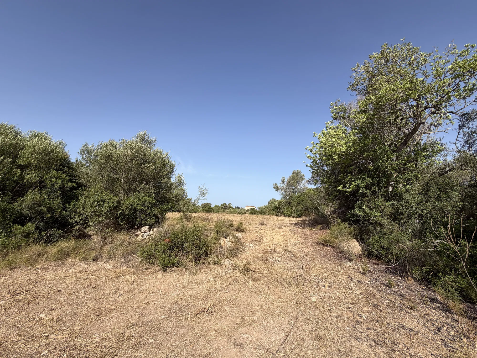 Terreno edificabile esclusivo per una finca di lusso vicino a Palma-3
