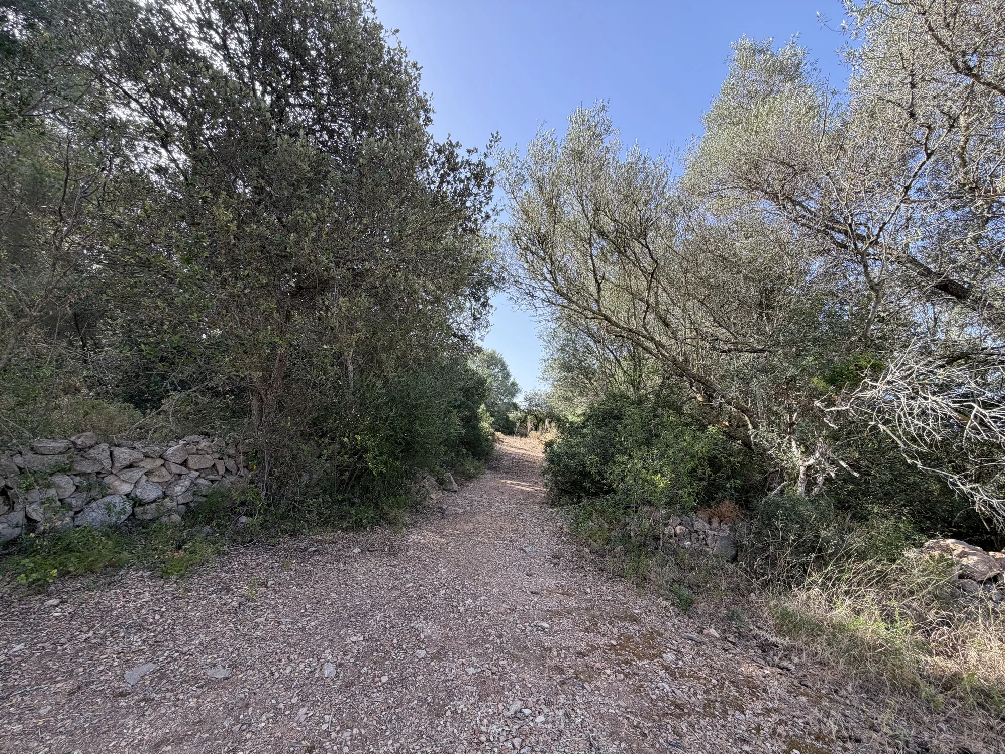 Terreno edificabile esclusivo per una finca di lusso vicino a Palma-6
