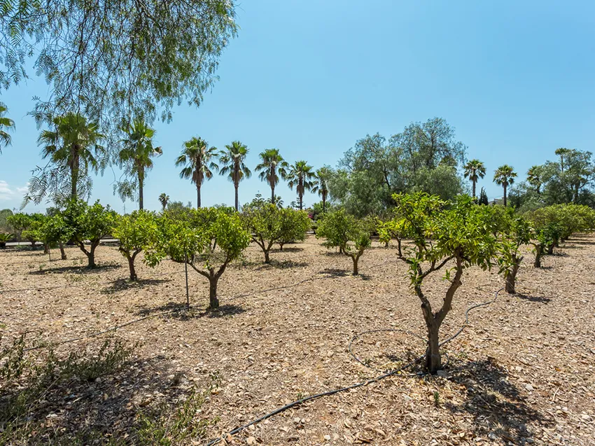 Finca con licencia de alquiler vacacional-13