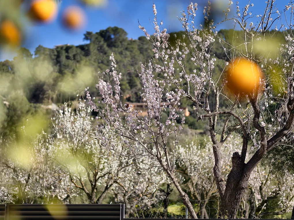 Finca completamente ristrutturata ad Andratx-7