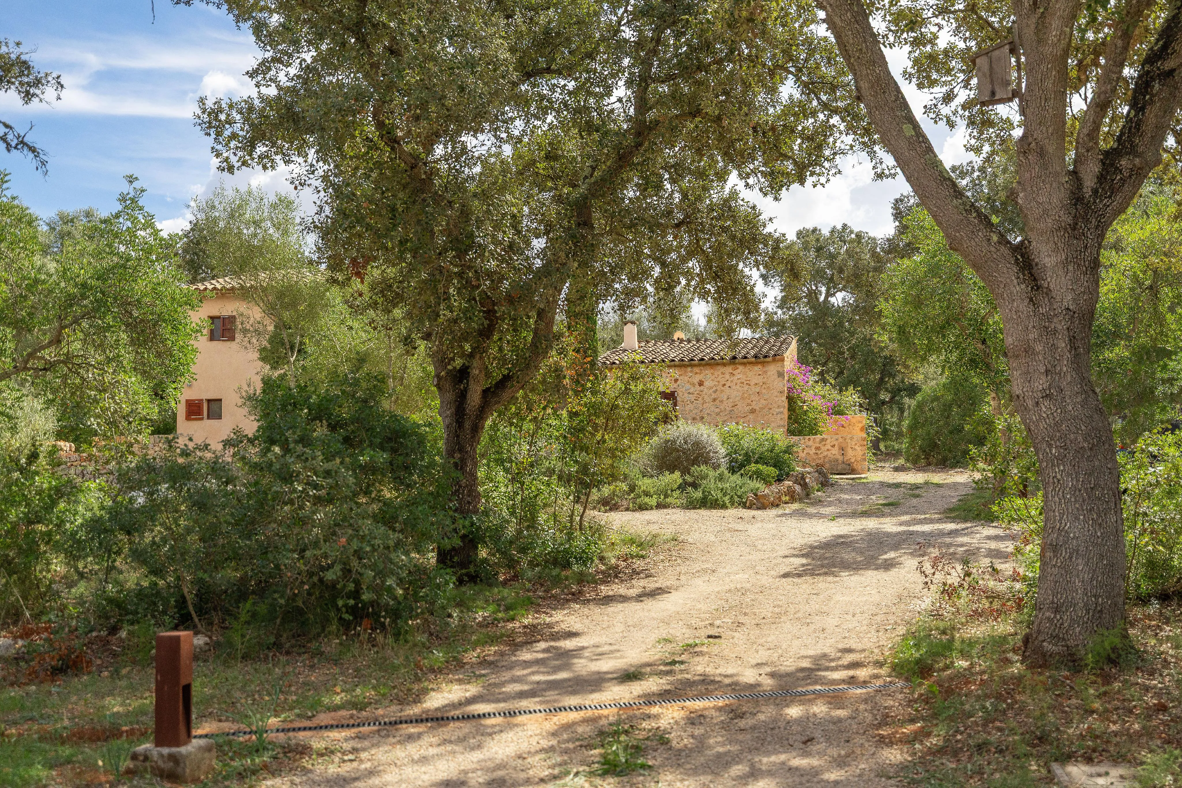 Charming natural stone finca with authentic character in Costitx-17