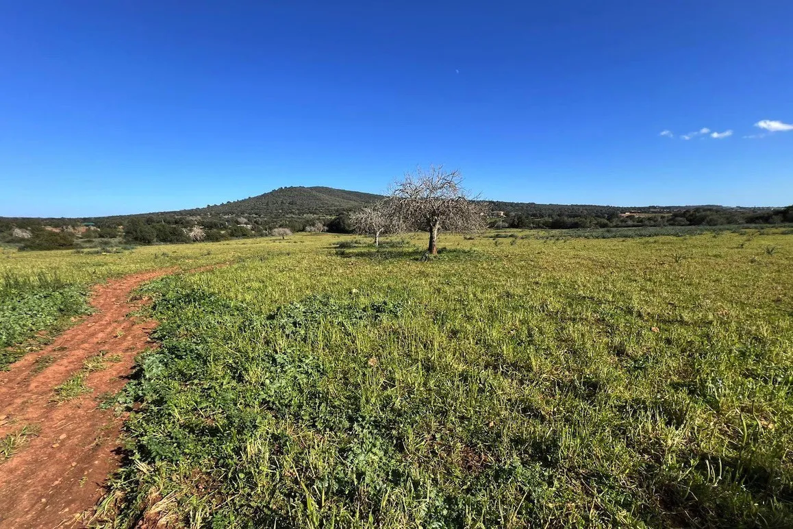 Extensa parcela rústica con varias edificaciones y proyecto de ampliación-2
