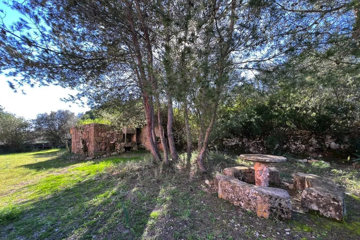 Extensa parcela rústica con varias edificaciones y proyecto de ampliación-8