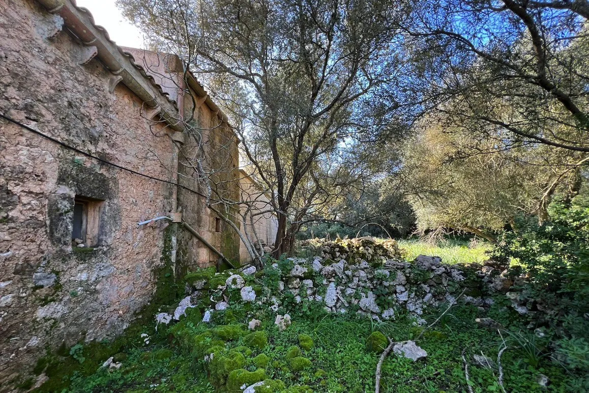 Extensa parcela rústica con varias edificaciones y proyecto de ampliación-7