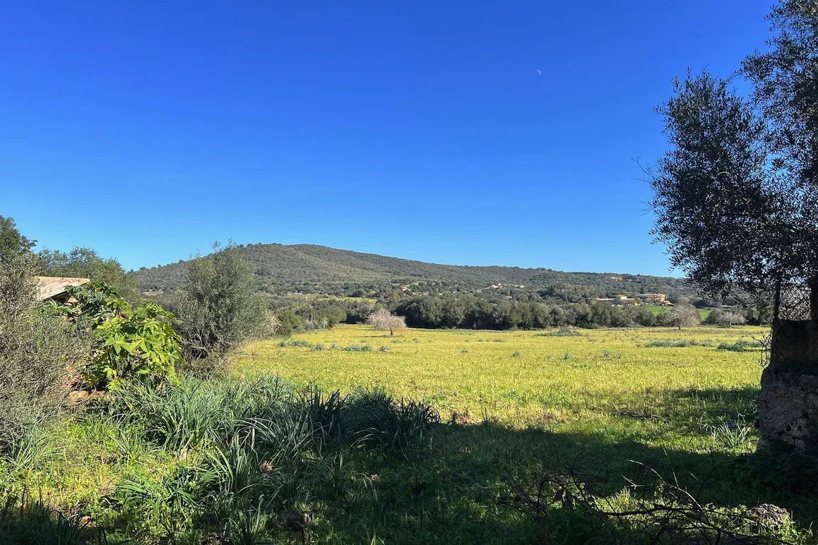 Extensa parcela rústica con varias edificaciones y proyecto de ampliación-9
