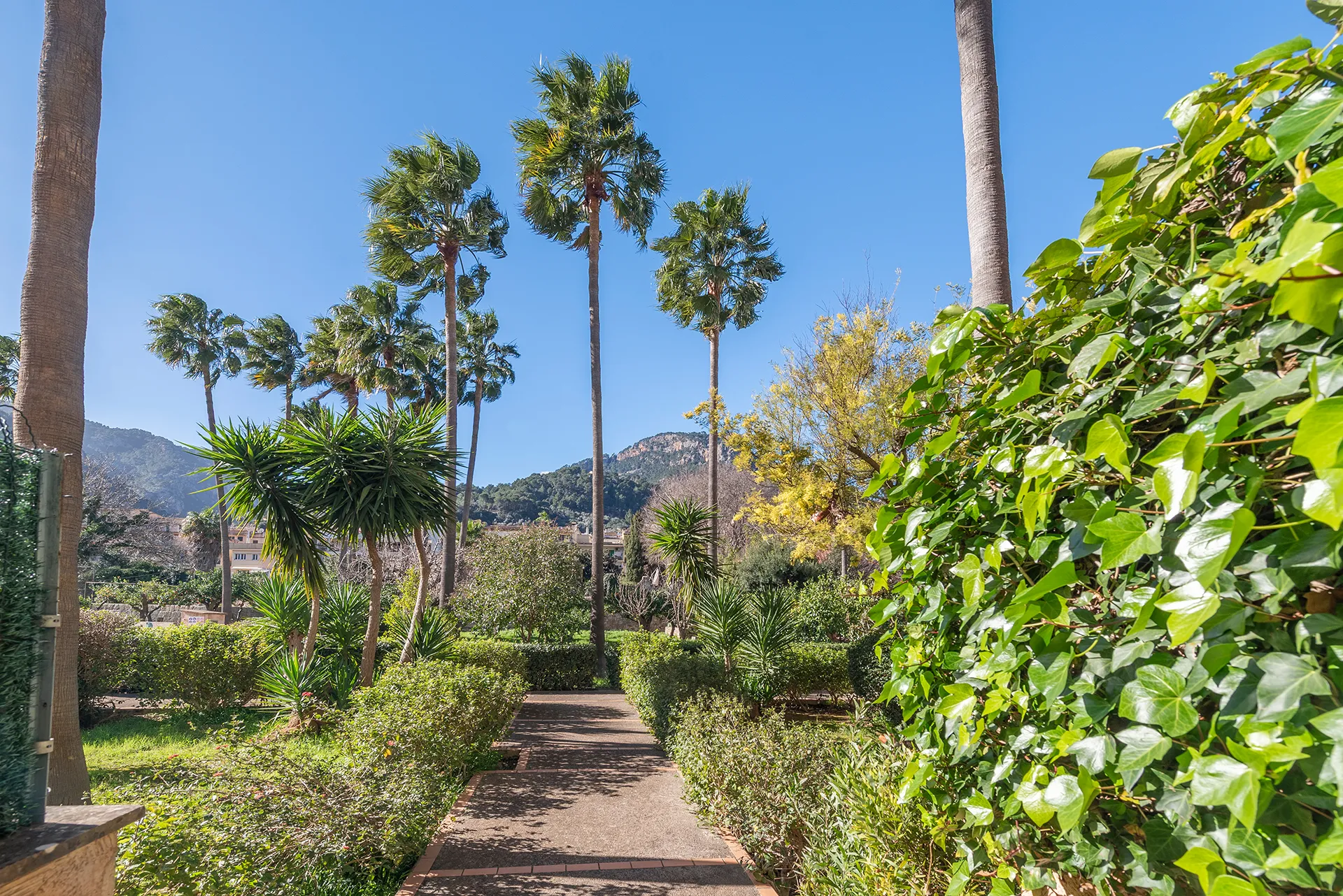 Licht appartement met terras, zwembad & uitzicht in het hart van Sóller-15
