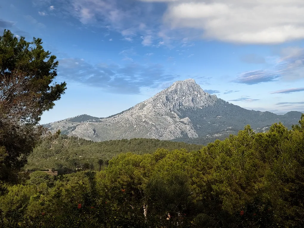 Rodzinna willa w samym sercu Santa Ponsa-26