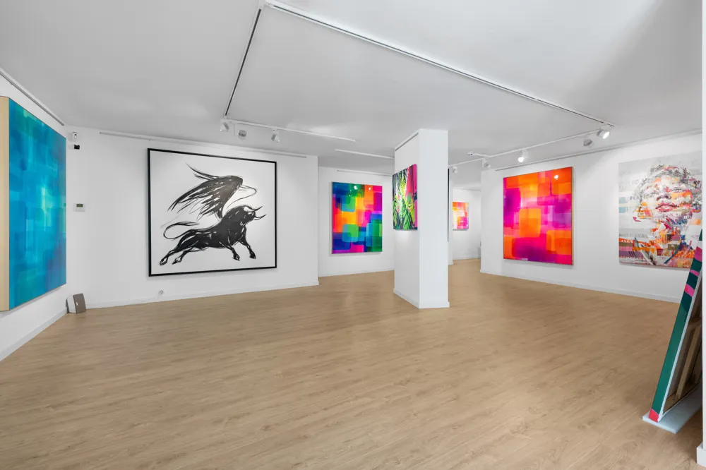 Galería de Arte Consolidada en el Casco Antiguo de Palma – Uso Versátil-4