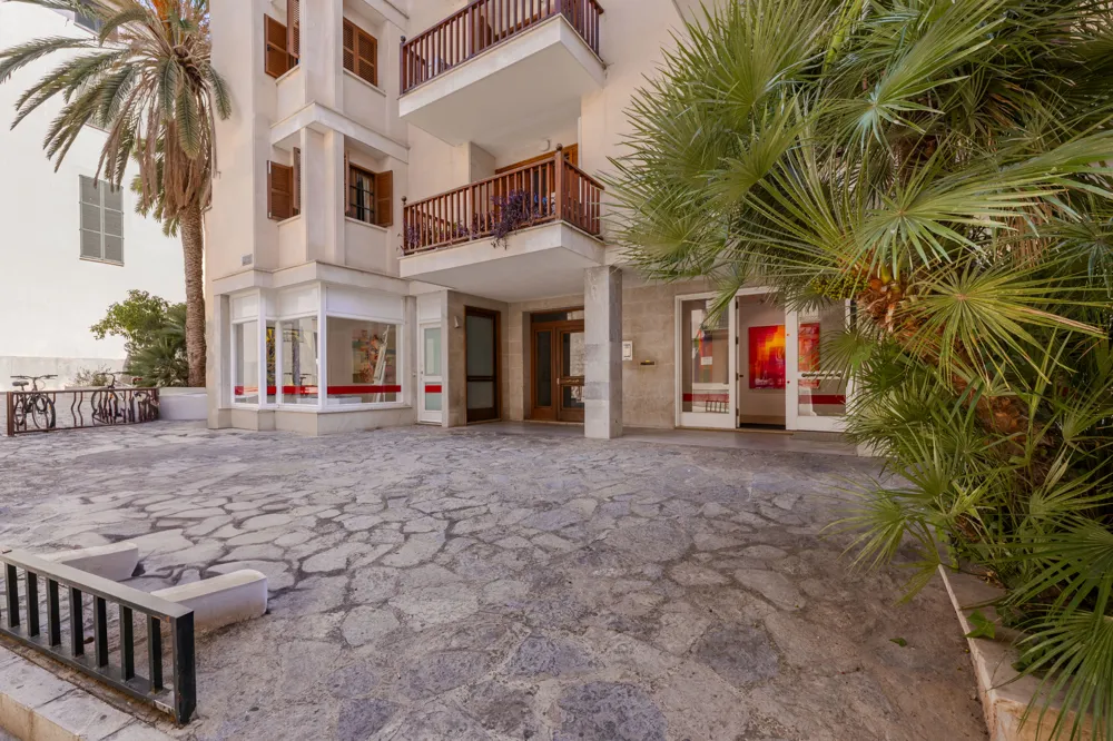 Prestigiosa galleria d'arte nel centro storico di Palma - Potenziale di utilizzo versatile-2