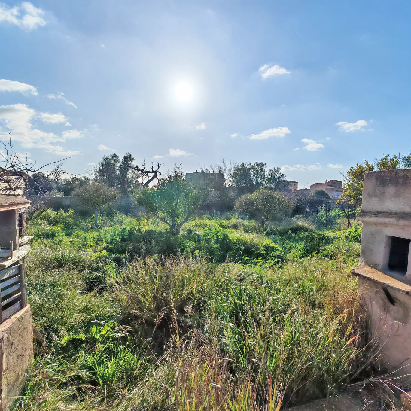 Urban Plot with views in Llucmajor-2