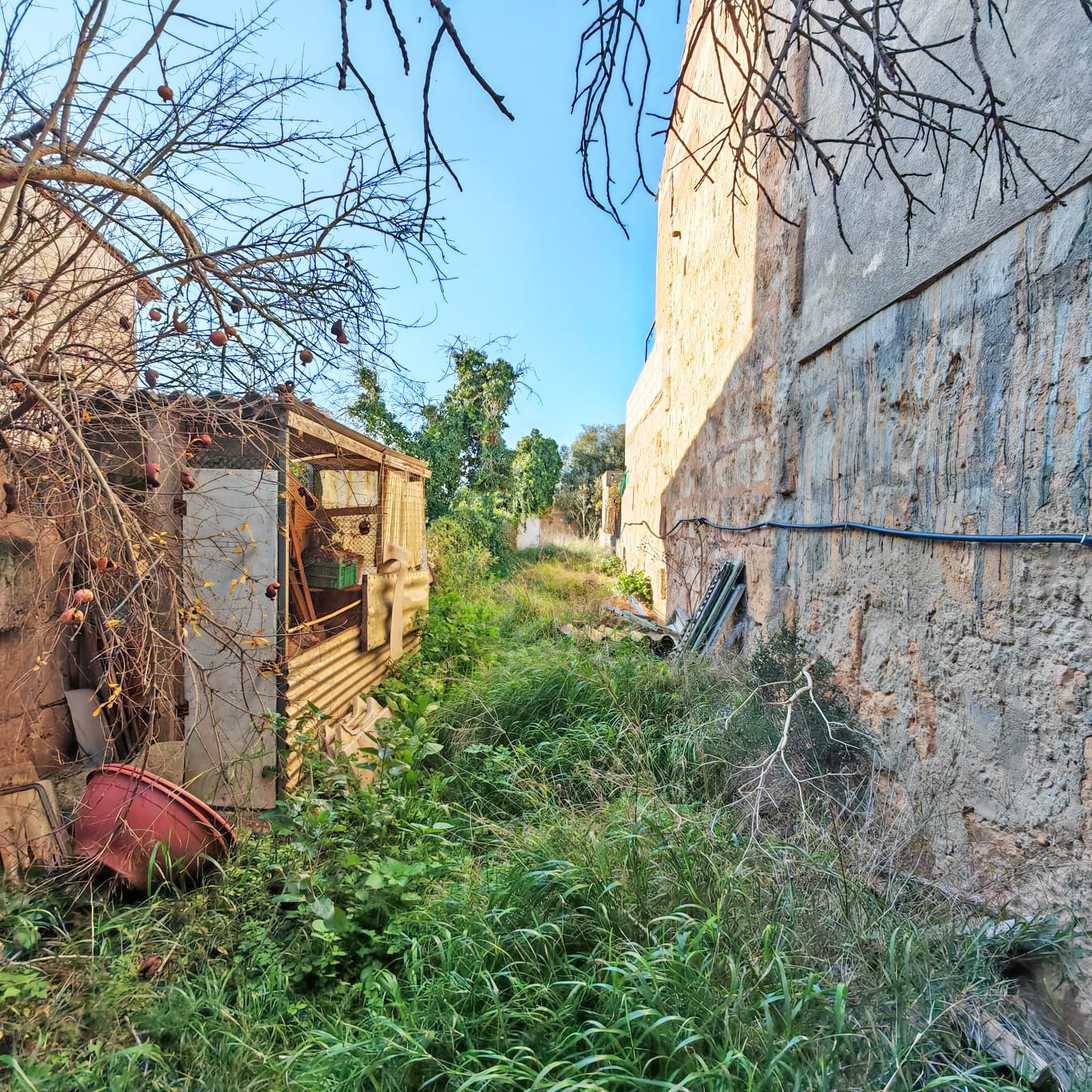 Urban Plot with views in Llucmajor-4
