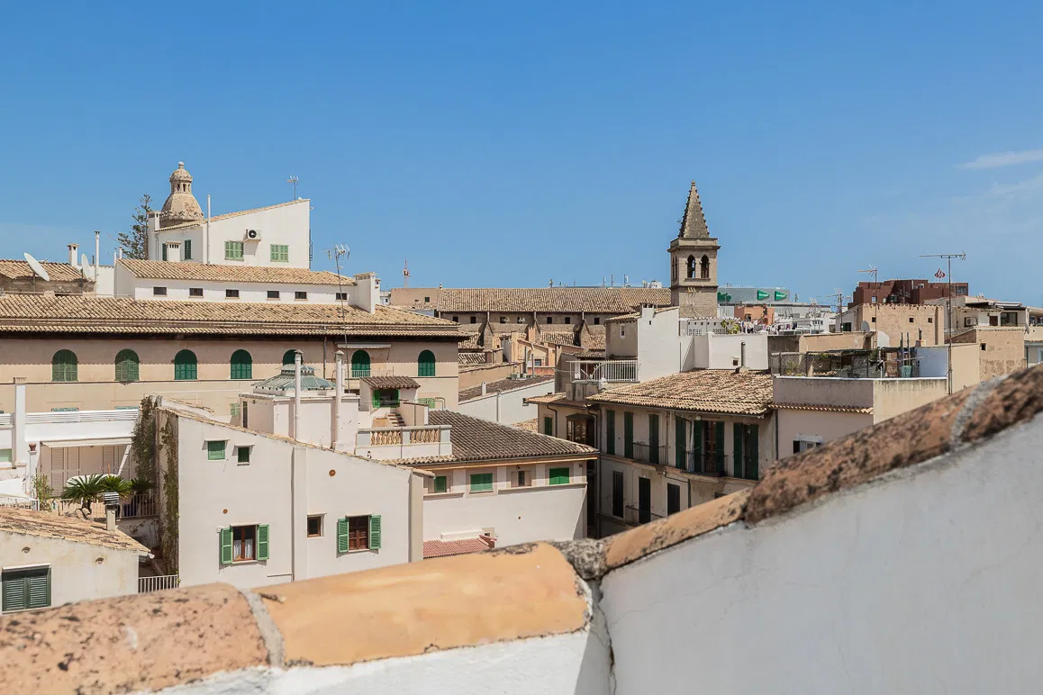 Ático encantador con terraza en la azotea-14