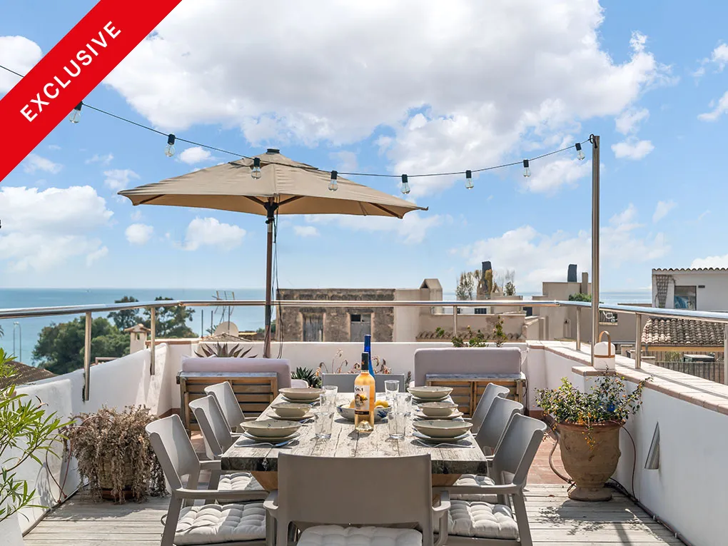 Dúplex pintoresco estilo loft con terraza en la azotea y vista al mar-1