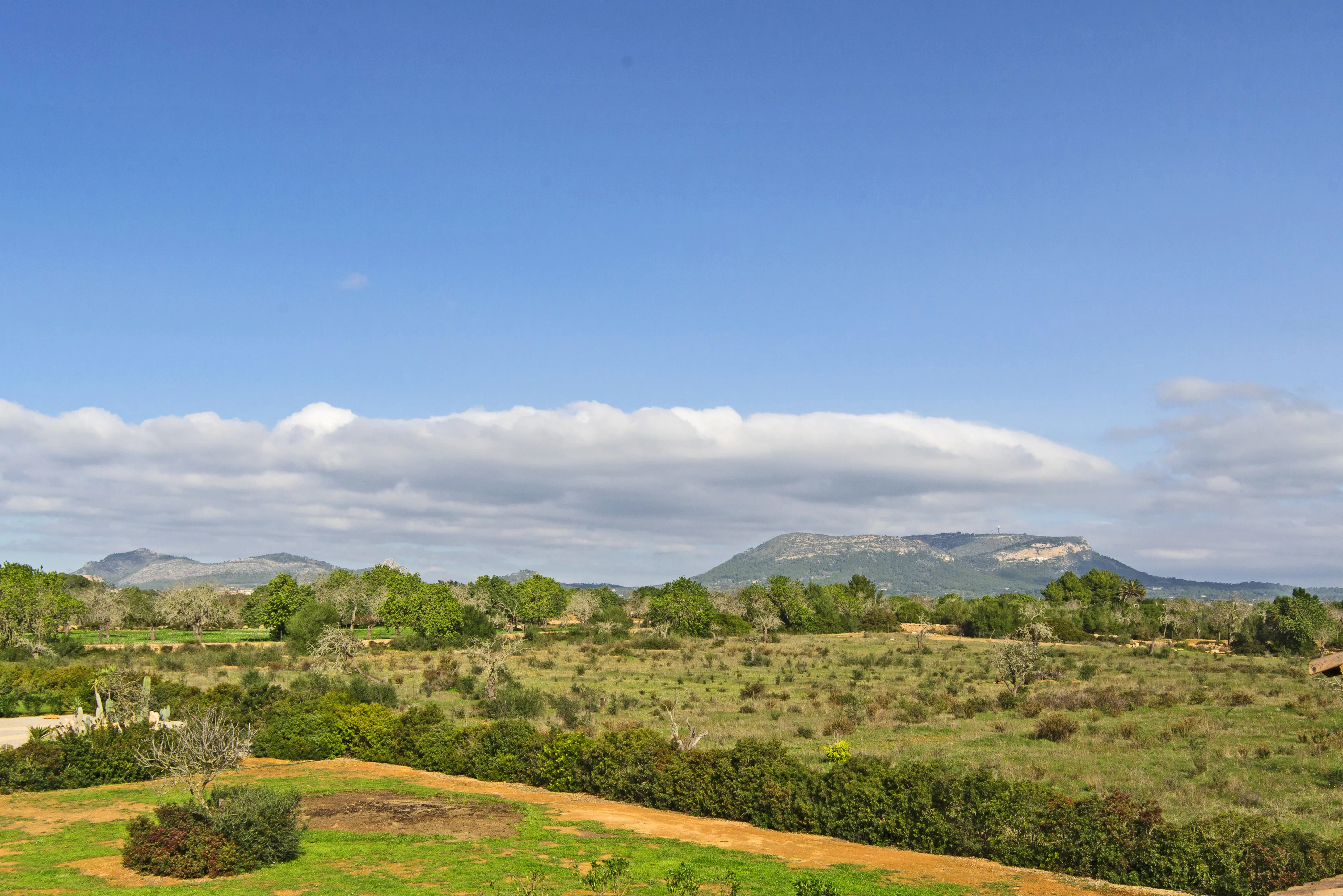 Piękny, w pełni odnowiony wiejski dom w wymarzonej lokalizacji-18