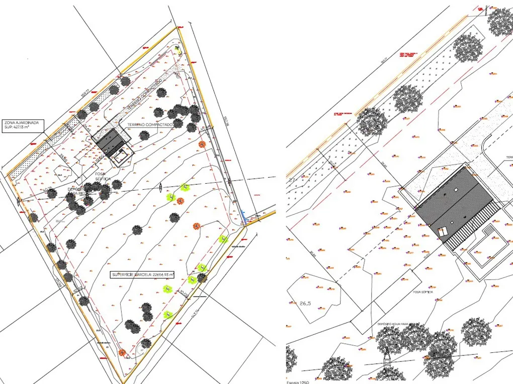 Super rustic plot with building license in Pollensa-4