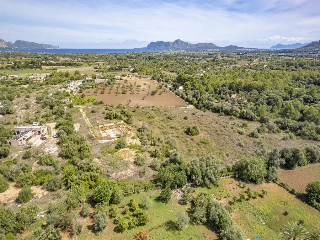 Super rustic plot with building license in Pollensa-1