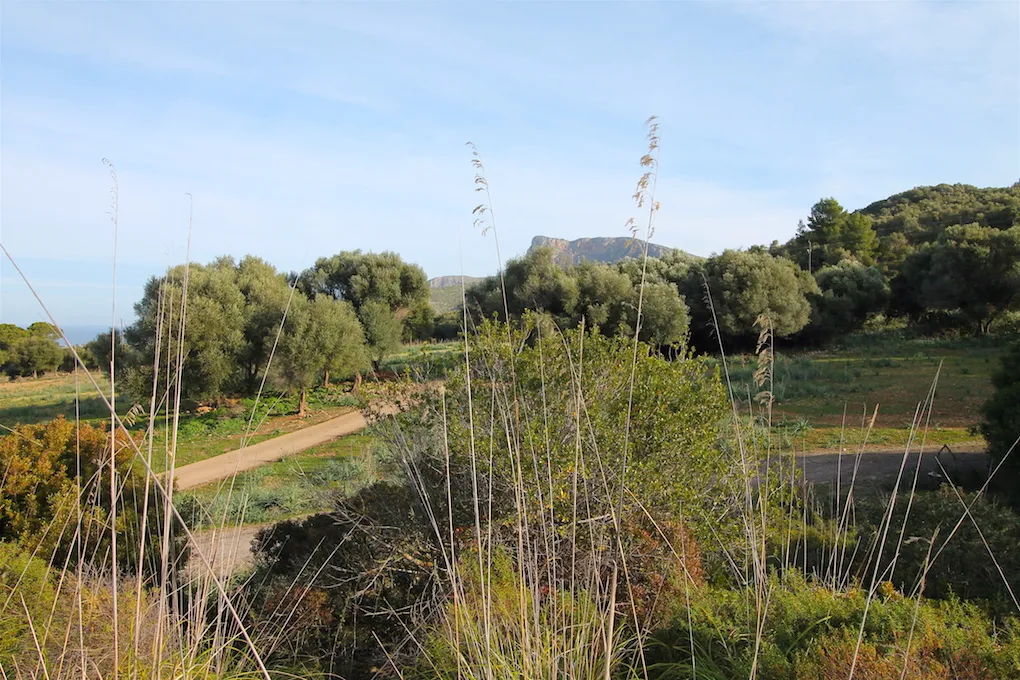 Espectacular propiedad con vistas al mar-9