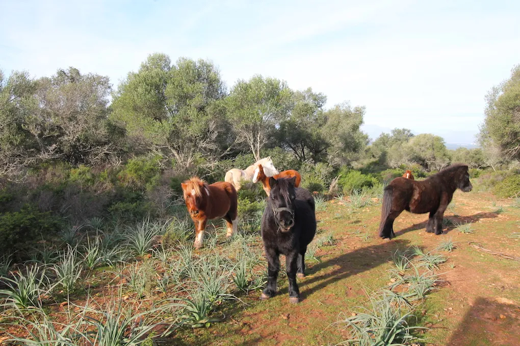 Espectacular propiedad con vistas al mar-12