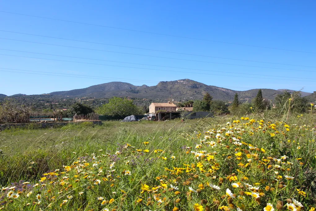 Auténtica finca entre Arta y San Lorenzo-13