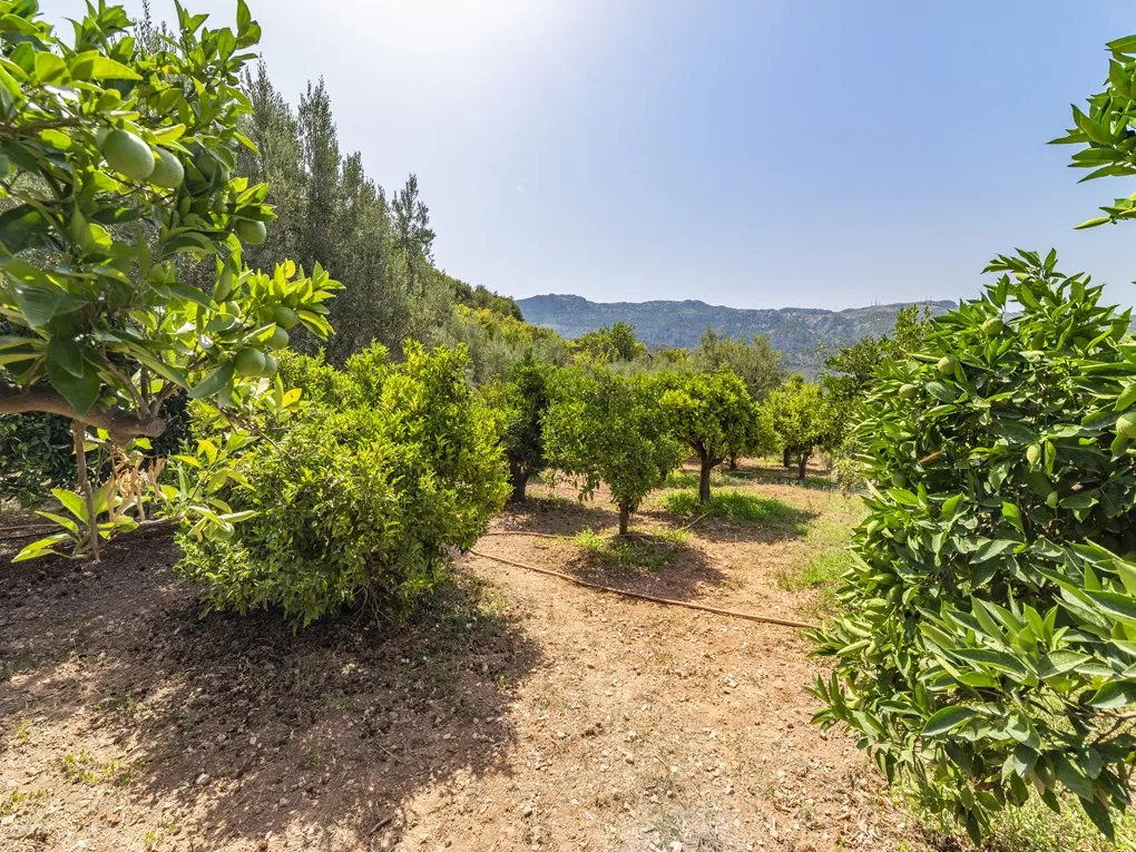 Traditional mallorquin house with stunning views towards historic Sóller.-14