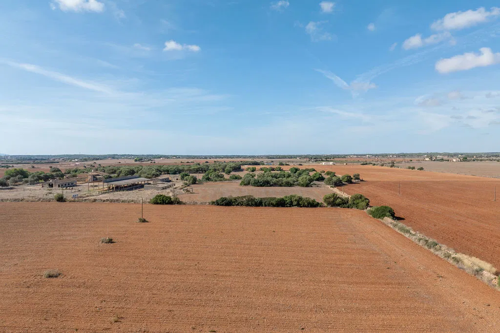 Parcel·la per a construcció amb llicència d'obres aprovada a prop d'Es Trenc-11