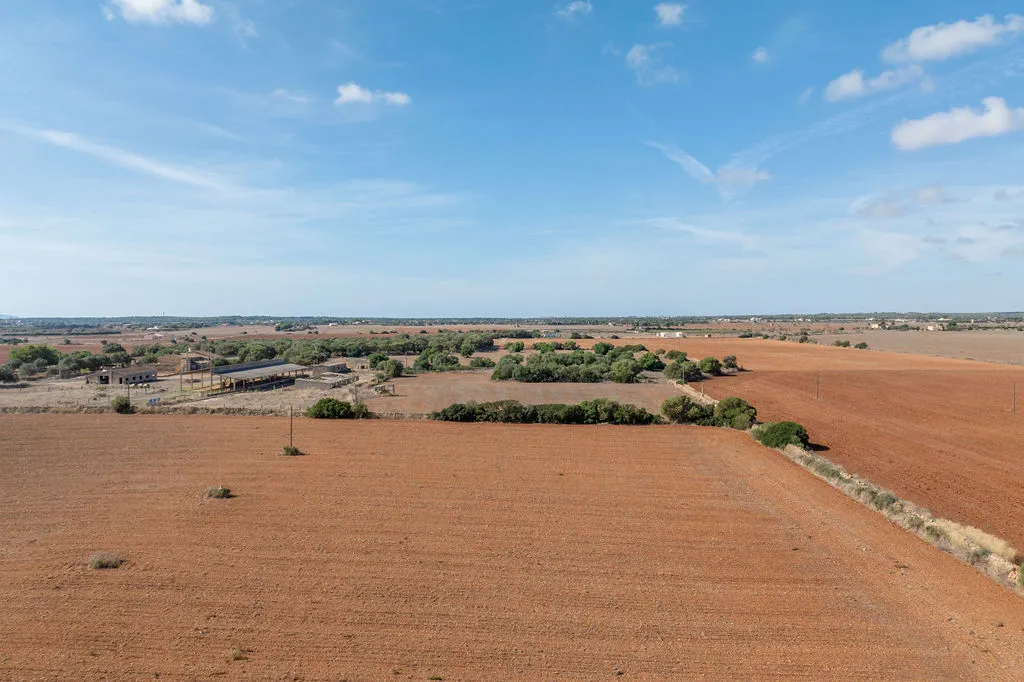 Building plot with approved project near Es Trenc-11