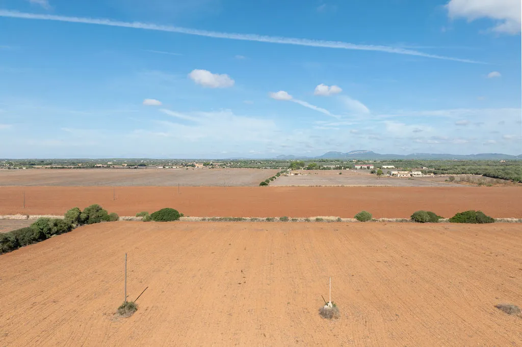 Building plot with approved project near Es Trenc-8