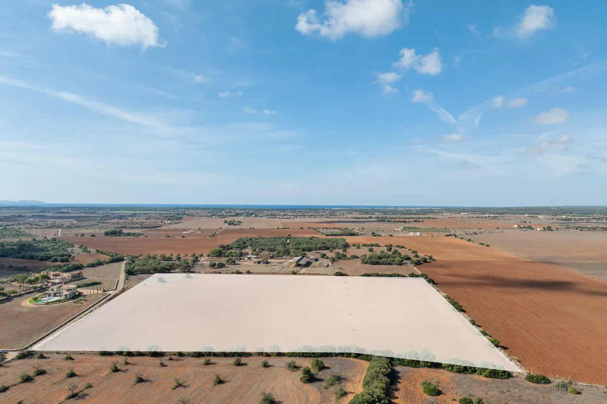 Building plot with approved project near Es Trenc-7