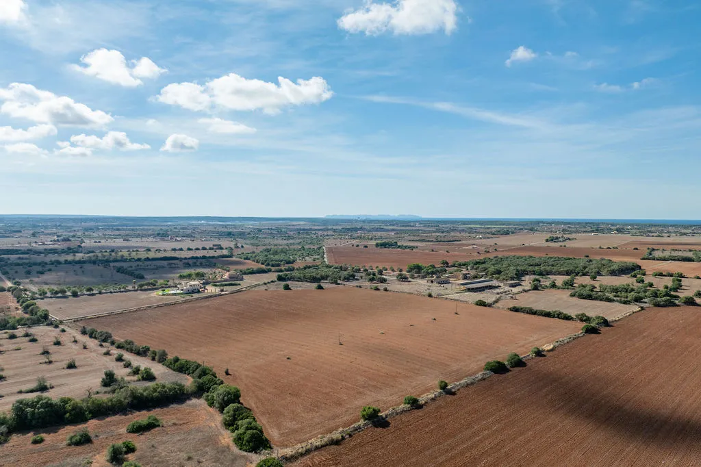 Building plot with approved project near Es Trenc-12