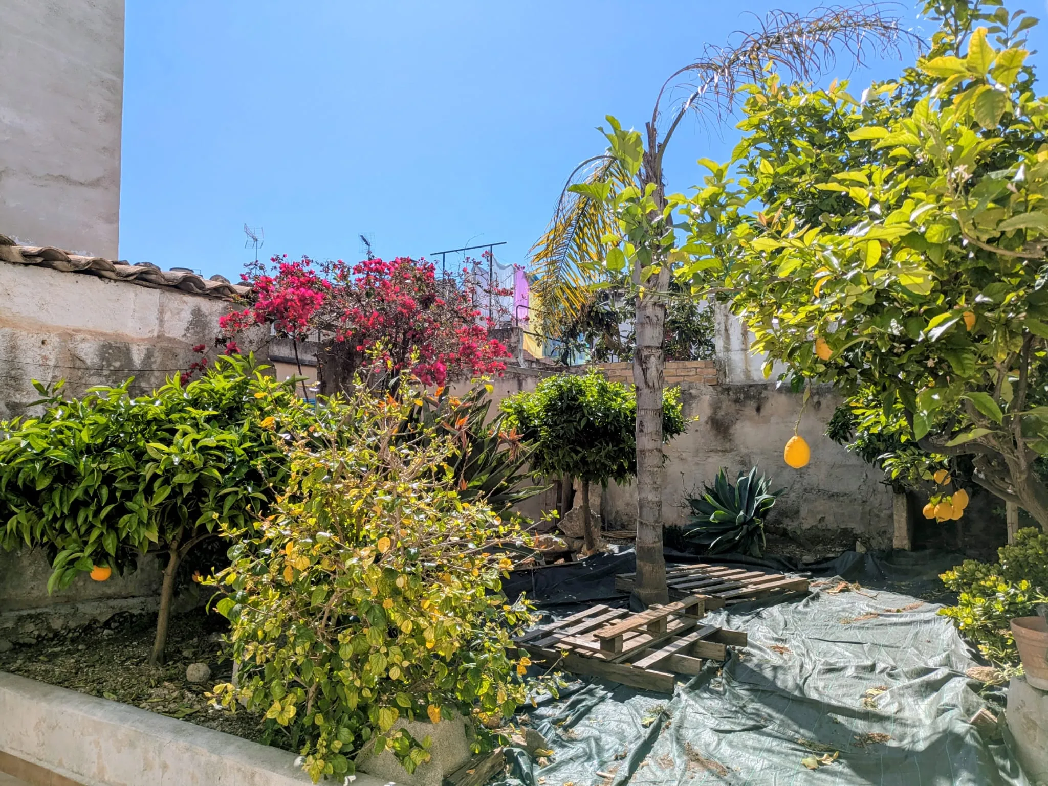 Duża kamienica z ogrodem i kuchnią na świeżym powietrzu w Consell-16